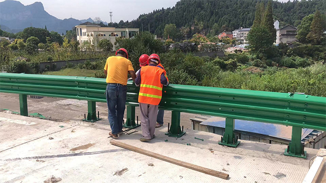 临沧高速公路护栏板的维护确保道路安全的关键环节